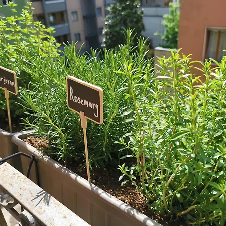 Spacious 50 Meters From The Metro Apartament *
